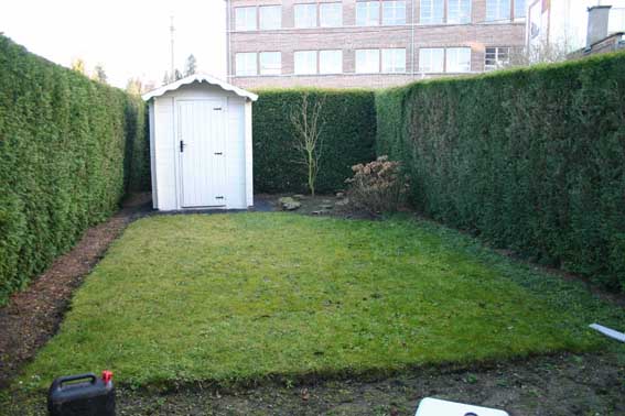 Avant -  petit jardin urbain    80m² à Mouscron