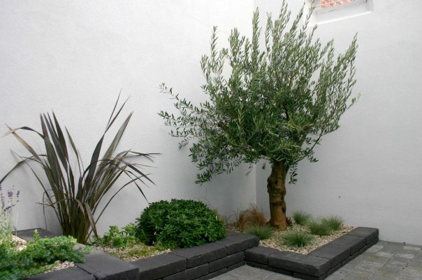 Après jardin urbain 16m²  style jardin méditerranéen