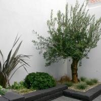 Après jardin urbain 16m²  style jardin méditerranéen
